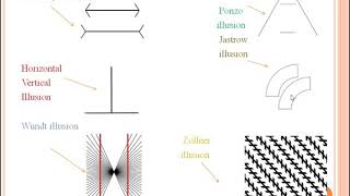 Perceptual processes 5 subliminal perception and illusion [upl. by Clarine]