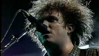 The Cure  Friday Im In Love Live 1996 [upl. by Clarise650]