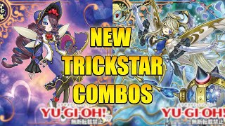 BURN DMG 3 NEW TRICKSTAR COMBOS  YuGiOh [upl. by Bendick]