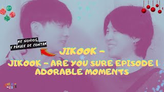 JIKOOK  ARE YOU SURE EPISODE 1 ADORABLE MOMENTS [upl. by Zeugirdor]