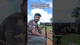 Camera Basics  why wildlife photographers use Tripod wildlife photography tripod telugushorts [upl. by Edd]