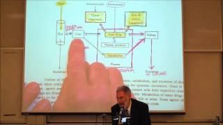 PHARMACOKINETICS Absorption amp Distribution by Professor Fink [upl. by Sauncho]