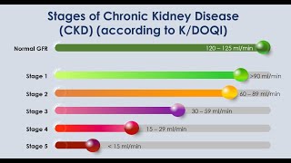 Glomerular Filtration Rate GFR [upl. by Aurilia]