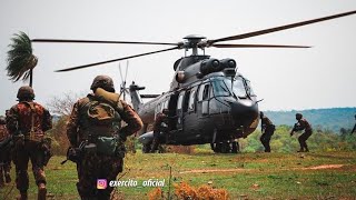 Forças Armadas brasileirasStatus Militar [upl. by Vasya]