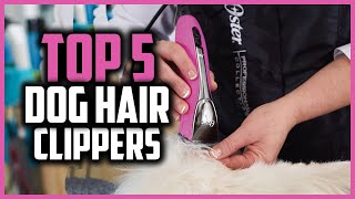 ✅Top 5 Best dog hair clippers in 2024 [upl. by Yarod]