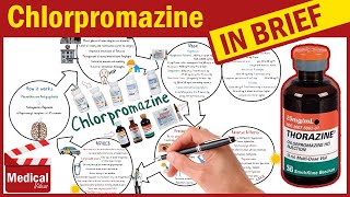 Chlorpromazine Hydrochloride  Thorazine  What is Chlorpromazine Uses Dosage amp Side Effects [upl. by Nylarahs]