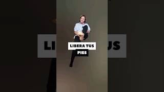 LIBERA TUS PIES [upl. by Ecerahs]