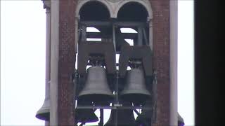 Le campane di Legnano MI Chiesa di San Domenico  Distesa del Re3 [upl. by Naig]