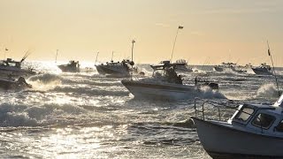 Salmon downrigger strikes compilation Trolling Master Bornholm [upl. by Eremihc188]