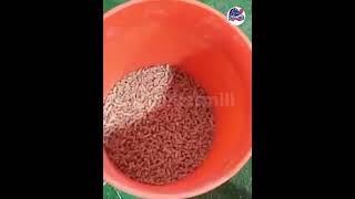 Making Saw Dust Wood Pellets tutorial 120B [upl. by Elston]