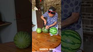 Fake Watermelon Prank 😂  New Viral Gadgets Smart Appliances Kitchen Utensils Home Inventions [upl. by Fidelis]