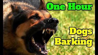 Dogs Barking for One Hour  barking sounds for 60 minutes of different breeds of dogs [upl. by Htennek]