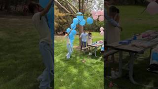 Gender reveal goes wrong [upl. by Freda]