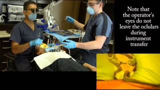 Ergonomics and Four Handed Dentistry with the Dental Operating Microscope [upl. by Aihsi]