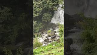 Natural waterfalls in Ayatana resort 😊🥰😊youtubeshorts karnatakatourism coorgtourism viralvideo [upl. by Ciel]