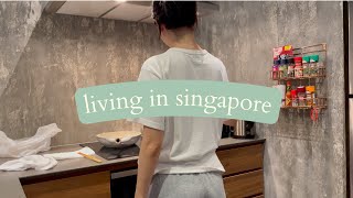 Living In Singapore How i try to work and cook  4 days WFH [upl. by Nosneh]