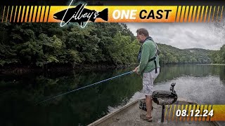 Lilleys One Cast August 12 [upl. by Semmes]