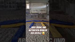 Das erste Spingtraining für Bellamie 🤩 minishetty [upl. by Allen760]