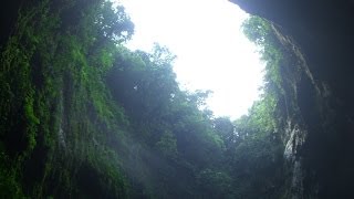 Parque De Las Cavernas CamuyHatilloLares Puerto Rico North America [upl. by Salbu]