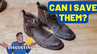 How to Remove MOLD From Leather Shoes [upl. by Johnath]