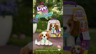 LITTLE LIVE PETS I REALLY REAL PUPPY SHORTS I [upl. by Ebsen]