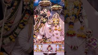 newsong radheshayam radhakrishna song vrindavan matura vairalsorts [upl. by Koralie433]