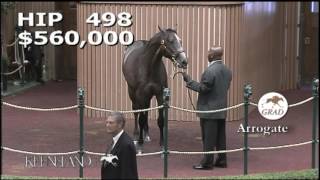 Arrogate as a Keeneland September Yearling [upl. by Annoyek562]