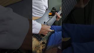 Breaking in a new guitar with the Periphery Reptile riff Schecter Reaper7 Multiscale [upl. by Notslah]