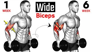 15 BEST Exercises for WIDER BICEPS [upl. by Pavior]