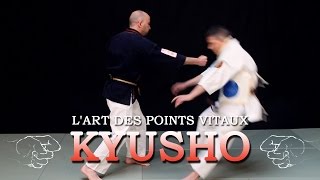 Kyusho Jitsu  l’art des points vitaux [upl. by Keverne]