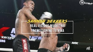 Vicious Muay Thai Transitioning to MMA [upl. by Harad]