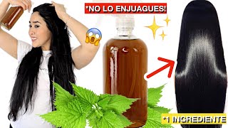 NO LO ENJUAGUES Y TU CABELLO NO DEJARA DE CRECER 😱 DETÉN LA CAÍDA DEL CABELLO Y CALVICIE✨❗️ [upl. by Okubo]