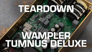 Wampler Tumnus Deluxe Teardown See whats inside [upl. by Denie827]