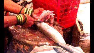 Mori Shark मुशी मासाशार्क How to Cut it Correctly  Dahisar Fish market  Mumbai [upl. by Bertolde]