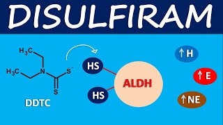 Disulfiram  Mechanism side effects and uses [upl. by Beuthel]