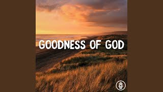 Goodness of God  Acoustic Instrumental [upl. by Yllim142]