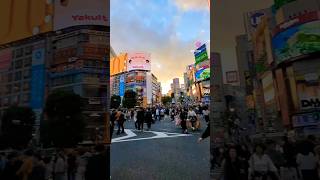 Shibuya crossing is so insane travel japan shibuya [upl. by Ttimme295]