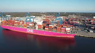 Shipping Line ONE – Ocean Network Express [upl. by Huberty]