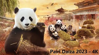 Pairi Daiza 2023 4K  De grootste én mooiste dieren Tuin der werelden [upl. by Erised]