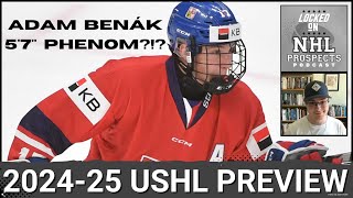 IS ADAM BENÁK THE NEXT 5FOOT7 1ST ROUNDER  USHL 202425 Season Preview [upl. by Alebasi]