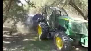 Almond Harvest in California [upl. by Asirrak]