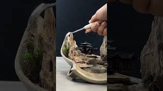 👍Moss Bonsai Moss Micro Landscape bonsai art😊苔藓微景观《nana》 works welcome to subscribe shorts 变废为宝 [upl. by Fulton]