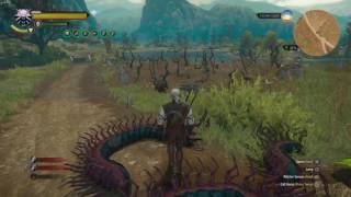 The Witcher 3 Red Mutagen Farming Locations [upl. by Pattani888]