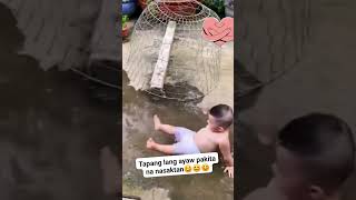 Laban lang lil boy 😍❤ fallvibe funny funnyvideos forfunonly goodvibes trending [upl. by Naitsirt59]