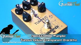 Wampler Tumnus Deluxe Transparent Overdrive [upl. by Naeerb]