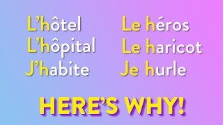 Wondered why we say LHôpital but LE Haricot Watch this [upl. by Ecyoj]