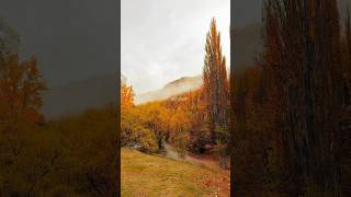 Arrowtown A Hidden Autumn Wonderland [upl. by Wescott18]