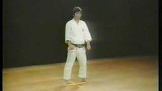 Bassai Sho  Shotokan Karate [upl. by Israel]