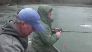 Hoh River Washington Steelhead Fishing [upl. by Edmea]