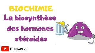 biochimie la biosynthèse des hormones stéroïdes [upl. by Weintrob]